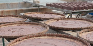 Terasi, Sejarah Singkat dan Tips Memilih yang Alami. (foto ilustrasi/foodies.id)