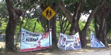 Paku APK di Pohon, Cara Paslon Pilkada Nganjuk Bersosialisasi. (foto/Bacaini)