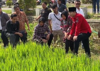 Cagub Risma Kepincut Sistem Pertanian Trenggalek: Ini Solusi Cerdas