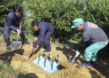 Mikroba Tanah Ternyata Bisa Jadi Tenaga Listrik Alternatif, Ini Hasil Risetnya