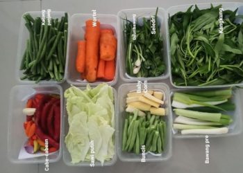 Tips Simpan Sayuran di Kulkas agar Tak Mudah Busuk