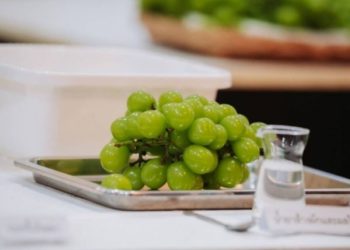Heboh Anggur Shine Muscat Mengandung Residu Berbahaya, Bagaimana di Indonesia?