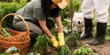Terungkap, Hobi yang Menggembirakan Bisa Atasi Kepikunan. (foto ilustrasi/freepik)