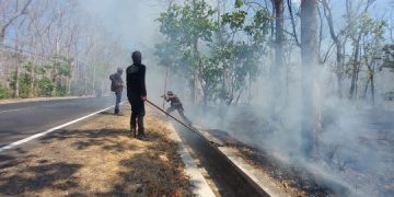 Hutan Taman Nasional Baluran Terbakar, Asap Sulitkan Pemakai Jalan Pantura. (foto/Bacaini)
