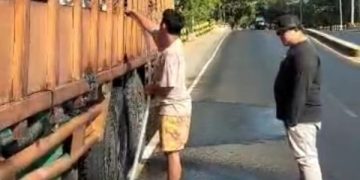 Resahkan Warga, Kades di Situbondo Tolak Truk Pengangkut Babi. (foto/ist)