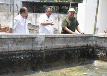 Intip Dua Produsen Lele, Pemkab Kediri Dorong Penguatan Nilai Jual. Foto : Dok. Pemkab Kediri