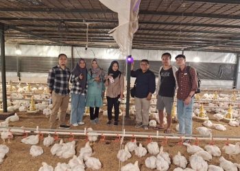 Dosen Polinema Kampus Kediri Dukung Optimalisasi Peternak Ayam Boiler Dengan Teknologi