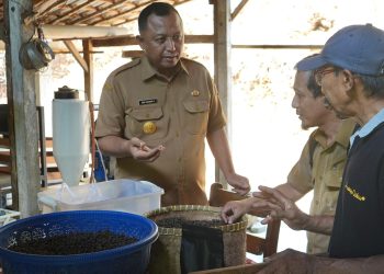 Pemkab Kediri Minta Petani Lereng Gunung Wilis Hasilkan Komoditas Kopi Berkualitas. Foto : Dok. Pemkab Kediri
