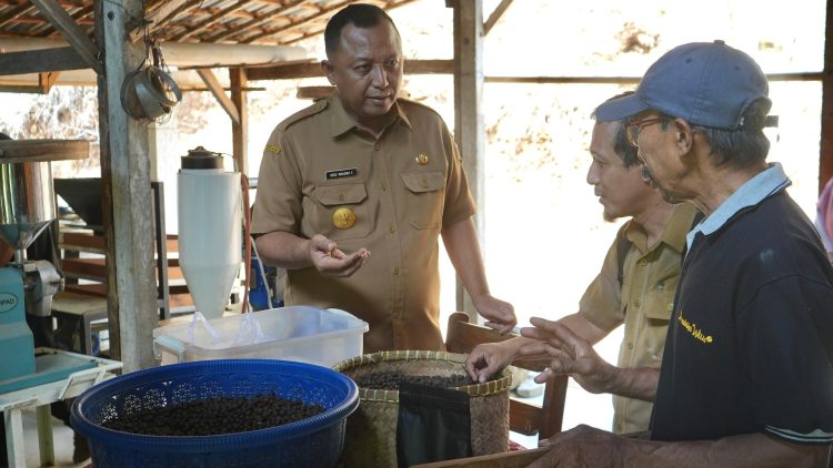 Pemkab Kediri Minta Petani Lereng Gunung Wilis Hasilkan Komoditas Kopi Berkualitas