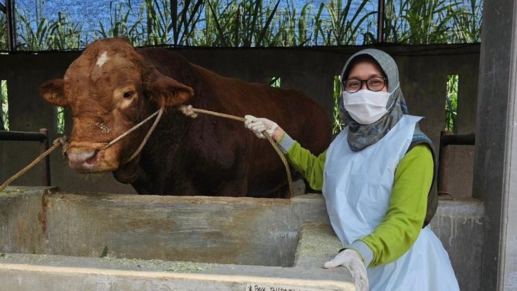 Kabupaten Kediri Surplus Daging Sapi Hingga 2.138 Ton