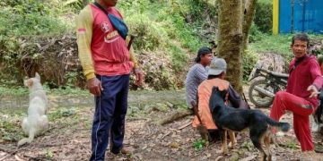 Kades di Trenggalek Gunakan ADD untuk Belanja Anjing Pemburu, Ini Alasannya. (foto/Bacaini)