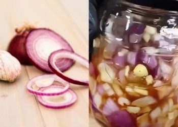 Musim Penghujan Telah Tiba, Yuk Cek Antibiotik Herbal yang Ampuh