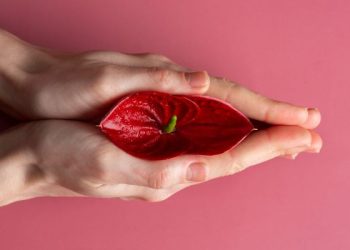 Sejumlah Makanan yang Menyehatkan Organ Intim Perempuan, Yuk Simak!