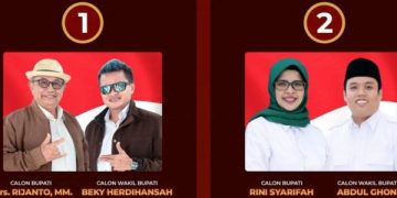 Massifnya Akselerasi Politik Mak Rini Pasca Survei LSI. (foto/ist)