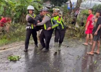 Pohon Tumbang Timpa Pemotor di Trenggalek Sempat Lumpuhkan Jalur Nasional