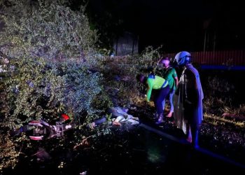 Hujan Angin di Trenggalek Tewaskan Pemotor Gegara Tertimpa Pohon Tumbang