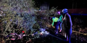 Hujan Angin di Trenggalek Tewaskan Pemotor Gegara Tertimpa Pohon Tumbang. (foto/Bacaini)