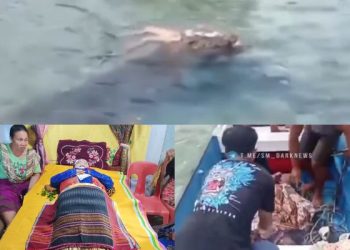 Viral Perempuan Paruh Baya Diterkam Buaya Saat Berendam di Pantai