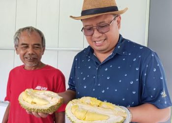 Durian Premium Mulai Bermunculan di Wonosalam Jombang, Geser Jenis Lokal?
