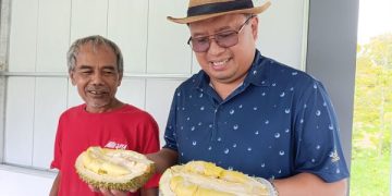 Durian Premium Mulai Bermunculan di Wonosalam Jombang, Geser Jenis Lokal?. (foto/Bacaini)