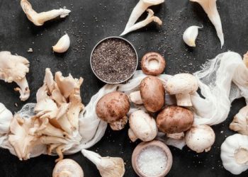 Manfaat Ajaib Jamur: Cegah Kanker Hingga Menutrisi Rambut