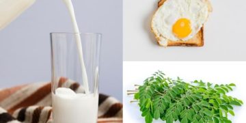 Daun Kelor Gantikan Susu di Program Makan Bergizi Gratis. (foto ilustrasi/ist)