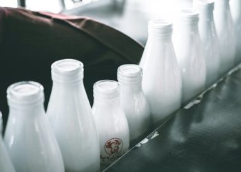 Susu Tak Wajib, Bisa Diganti Daun Kelor dan Telur Dalam Program MBG