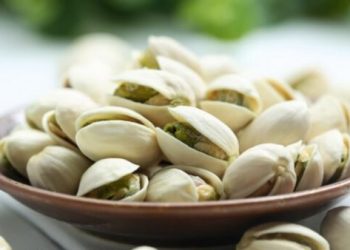 Mengenal Pistachio, Kacang Gurun yang Sedang Hype