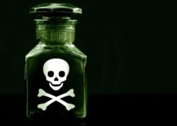 Hanya Ada di Jombang: Ingin Nikahi Ibu, Balita Dicekoki Racun Tikus