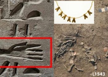 Gold of Honour, Kisah Ritual Pejuang Mesir Kuno Potong Tangan Untuk Persembahan