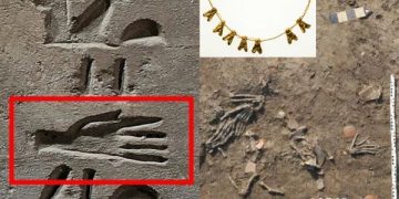 Gold of Honour, Kisah Ritual Pejuang Mesir Kuno Potong Tangan Untuk Persembahan. (foto/The Sun)