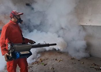 Belasan Warga Kota Kediri Terserang Virus Chikungunya