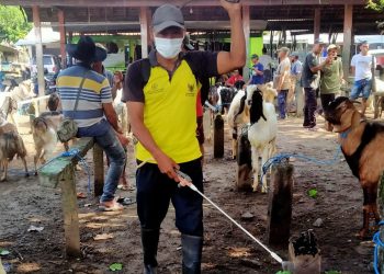 Cegah Wabah PMK, Pemkot Kediri Giat Lakukan Penyemprotan Disinfektan di Pasar Hewan. Foto  Dok. Pemkot Kediri