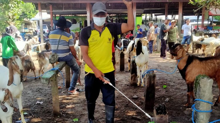 Cegah Wabah PMK, Pemkot Kediri Giat Lakukan Penyemprotan Disinfektan di Pasar Hewan. Foto  Dok. Pemkot Kediri
