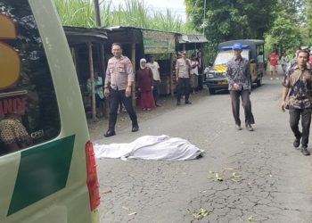 Pengendara Motor Meninggal Terimpa Pohon di Kediri