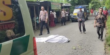 Pengendara Motor Meninggal Terimpa Pohon di Kediri