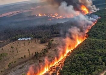 Santa Ana Terungkap Biang Kerok Kebakaran Dahsyat di Los Angeles
