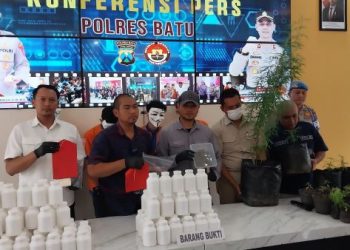 Sukses Budidayakan Pohon Ganja, Sarjana Pertanian Malang Dicokok Polisi