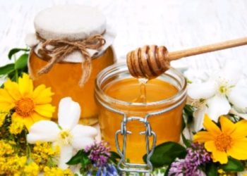 Tips Cepat Bedakan Madu Asli dan Campuran Tanpa Mencicipi
