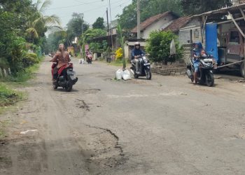 Kesal Jalan Rusak Tidak Segera Diperbaiki, Warga Tanam Pohon Pisang