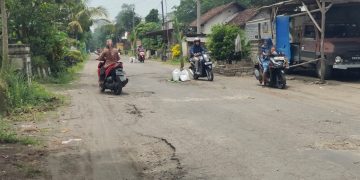 Kesal Jalan Rusak Tidak Segera Diperbaiki, Warga Tanam Pohon Pisang. Foto : Bacaini.ID/A.K Jatmiko