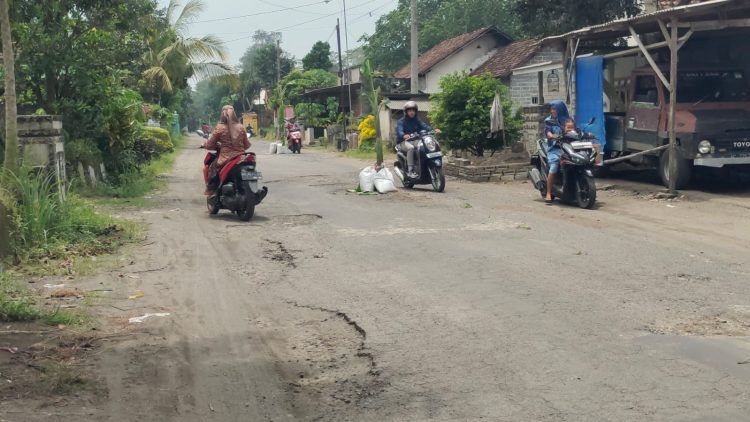 Kesal Jalan Rusak Tidak Segera Diperbaiki, Warga Tanam Pohon Pisang