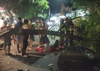 Pemotor Tersangkut Dahan Pohon Yang Patah