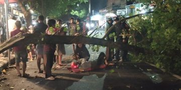 Pemotor Tersangkut Dahan Pohon Yang Patah