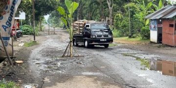 Jalan-jalan Rusak di Trenggalek Serentak Tumbuh Pohon Pisang (foto/Bacaini)