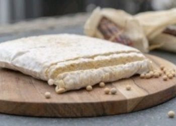 Sejarah Tempe, Dimulai dari Serat Centhini dan Disahihkan Peneliti Amerika