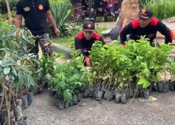 Tolak Tambang Emas di Trenggalek, Massa ART Tebar 1.000 Bibit Pohon