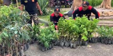 Tolak Tambang Emas di Trenggalek, Massa ART Tebar 1.000 Bibit Pohon (foto/Bacaini)