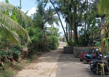 Selain Nyepi, Umat Hindu Bali Ternyata Juga Merayakan Tumpek Uduh