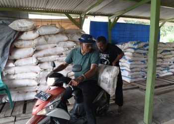 Pupuk Indonesia Jamin Kemudahan Petani Peroleh Pupuk Subsidi